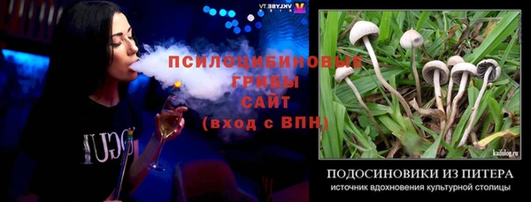дживик Верея