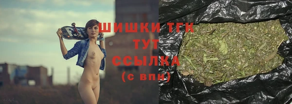 дживик Верея