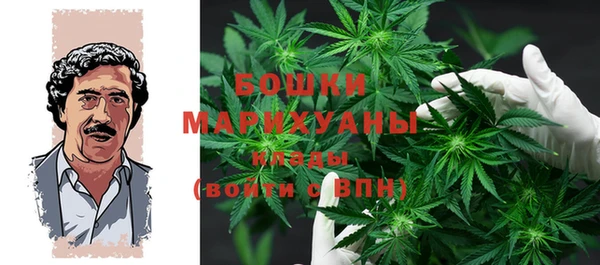 дживик Верея